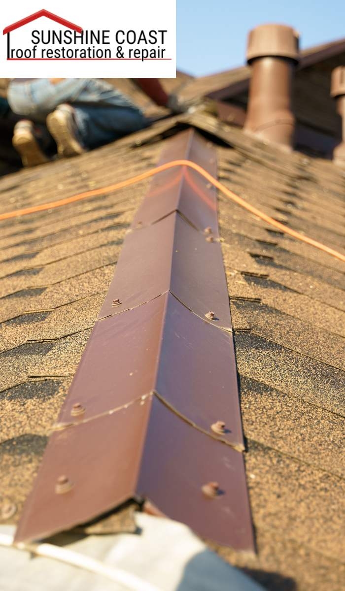 What are the signs of mold or algae on my roof?