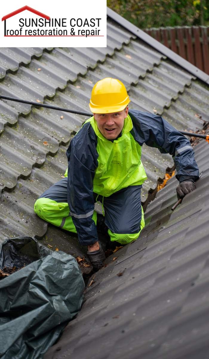 Roof Painting: Beyond Aesthetic Enhancements